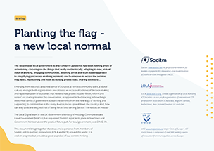 Socitm infographic: Planting the falg